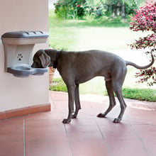 Wall Mounted Pet Feeder with Storage